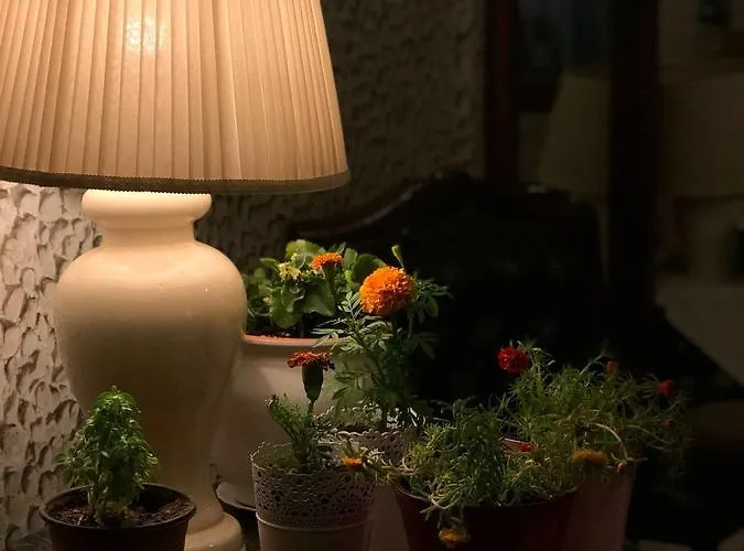 Ξενοδοχείο Karadede *