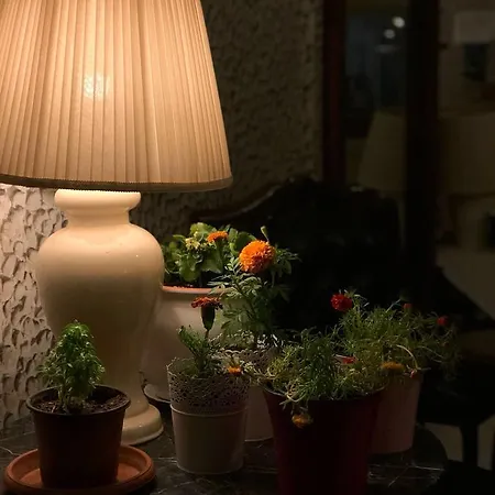 Отель Karadede *